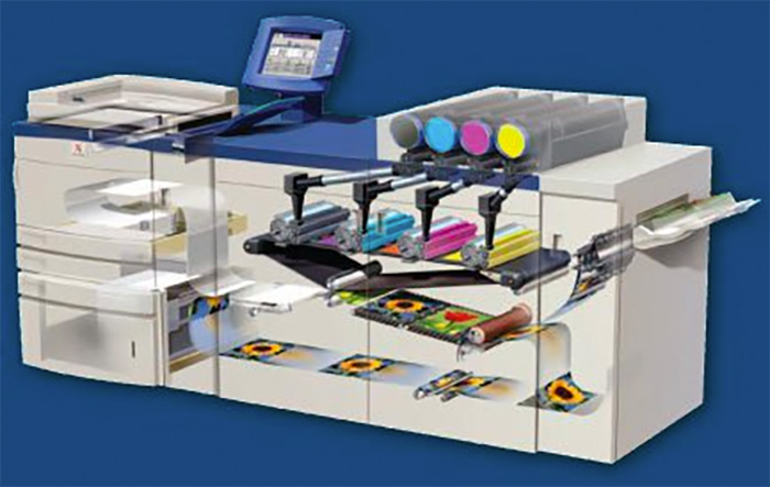 פרינט - גיל פרינט